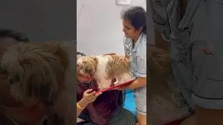 Amma birhday ku remo gift kuduthurkan 🎁 #ishqyouall #swv #funny #tamil #youtube #shortsvideo