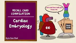 Cardiac Embryology Recall Card Compilation | Development of the heart| Byte Size Med Recall Cards