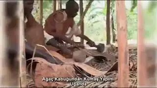 Ağaç Kabuğundan Kumaş Yapımı - Uganda