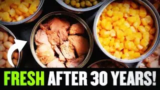 20 Canned Foods that NEVER EXPIRE