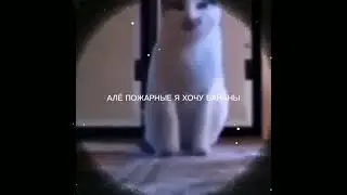 АЛЁ ПОЖАРНЫЕ Я ХОЧУ БАНАНЫ