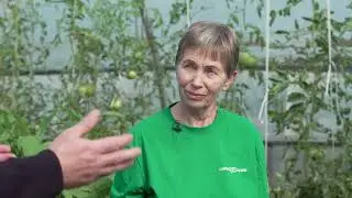 Калейдоскоп сладких перцев от Гавриш