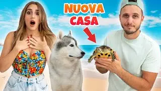 LA NOSTRA TARTARUGA CAMBIA CASA 🥺🐢🏡