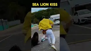 A lion kiss