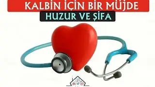 Kalbinin Neye İhtiyacı Var?