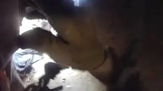 Luckiest US soldier saved from Afghanistan sniper