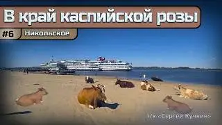«В край 