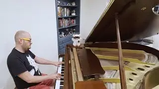 Main Theme | Animal Crossing: New Horizons (Piano Cover)