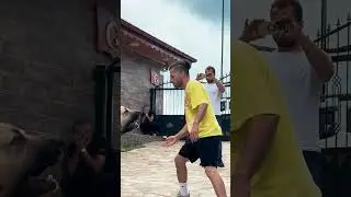 Dog's Owner Had a Crisis! 