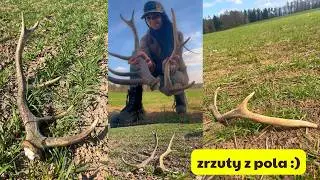 Happiness in the fields :) two fresh drops have been added to the collection #antlers #nature #fo...
