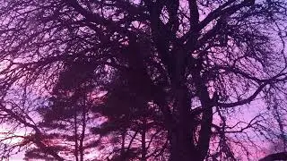 Dead - Spits You Out [Official Audio]