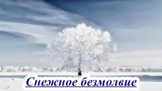 Снежное  безмолвие