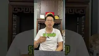 Sự tương quan giữa cung Tài Bạch và cung Quan Lộc như thế nào #phongthuypanda #tuvituongso #xemtuvi