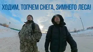 поход в лес 2022