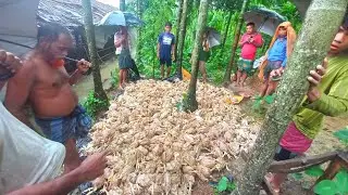 হঠাৎ বৃষ্টির পানি বৃদ্ধি হওয়ায় সব ব্রয়লার মুরগি শেষ