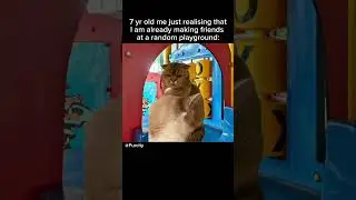 Just a minute of flashback #catmemes #memes #funnycats #childhoodmemories #theamazingdigitalcircus