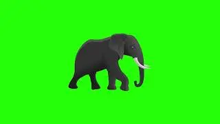 Green Screen 2D Elephant Walk Animation || No Copyright || Free to use