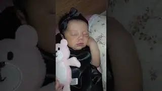 Apresento a vocês minha linda princesa Ayla Victória 🥰🥰❤️ #bebe #shorts #filha #anasilva #princesa