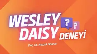 Wesley ve Daisy Deneyi | Vicdanın kaynağı nedir?