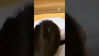 возврощяем старые мемы  часть 1 