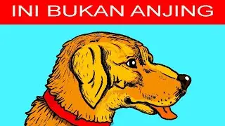 Bener-Bener Menipu...!! 10 gambar ilusi optik mata.