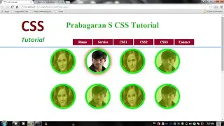 CSS Image Hover Effect Using Transition and CSS3