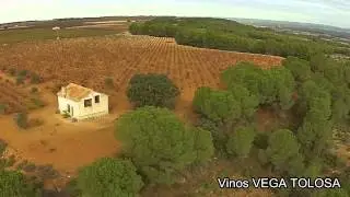 Viñedos Ecológicos de Vino de la Manchuela