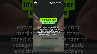 This is a versatile multimedia manager that allows you to find, use, and reuse your media easily.