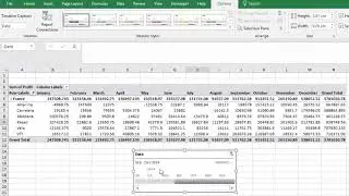 Pivot Table   Timeline