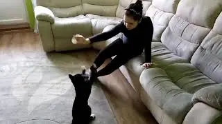 27 день карантина. Сходим с ума!!!