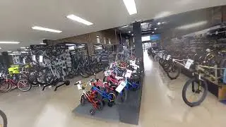 Dubbo(1)