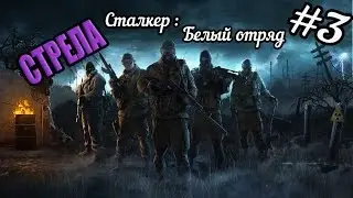 Сталкер. Белый отряд #3 Стрела с наёмниками
