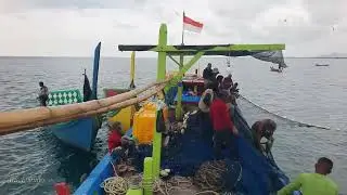 penangkapan ikan teri