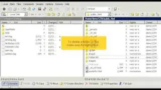 Managing files in WinSCP