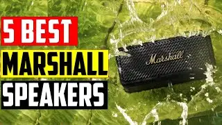 ✅ Top 5 BEST Marshall Speakers in [2024]