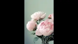 🌌Как продуктивно провести лето 2020/ Чем заняться?!🌌