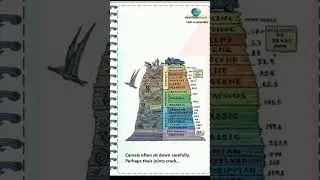 short trick to remember geological time scale..