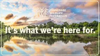 Conservation is about preserving and appreciating Tennessee's natural resources.