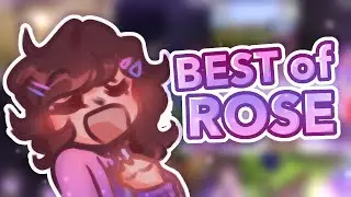 The BEST of Rose 2023