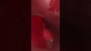 💓 Exploring the Heart: Inside and Out 💓  