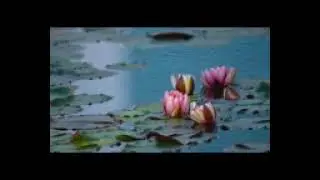 Great Relaxing Music • Japanese Romantic Music To Relax