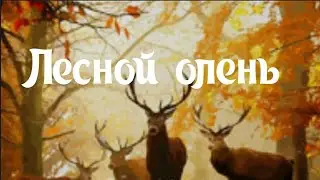 Лесной олень. Наталья Потаева