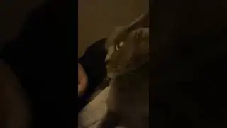 Это сейчас что такое было? | What was this now?