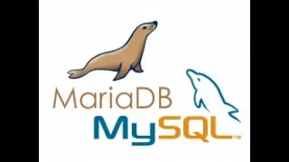 MariaDB: MySQL ERROR 1045 (28000): Access denied (liberando acesso a usuários)
