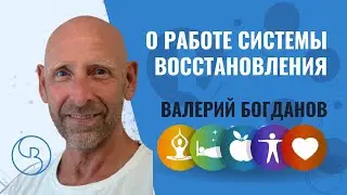 Про работу Системы Восстановления | Метод Богданова