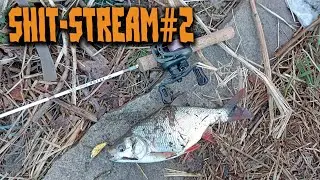 Shit stream#2