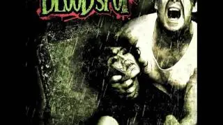 Bloodspot - Answer my Fall