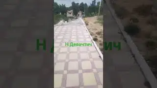 18 августа 2024 г.