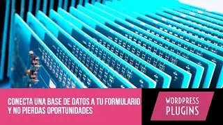 como conectar tus formularios con una base de datos