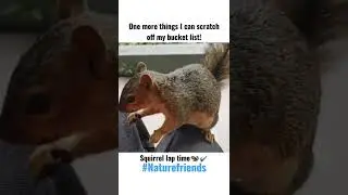 I Checked Something Off My Bucket List Today! Squirrel Lap Time 🐿️✔️